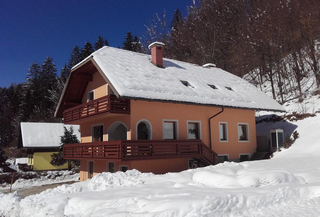 Apartma Smole クランスカゴーラ エクステリア 写真